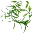 ATUO - Ornament Reptiles Plastic Willow Habitat Ornament